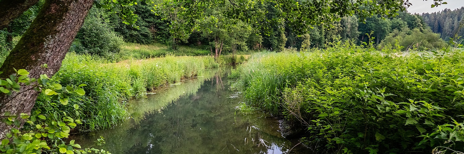 Anbieter und Angebote für den Regierungsbezirk Oberfranken