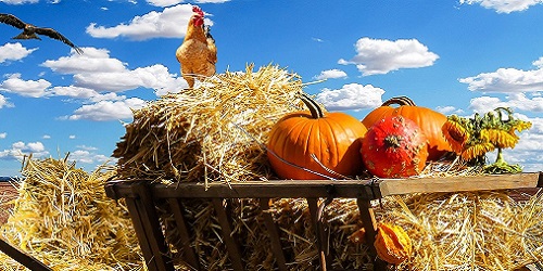 Hofladen und Naturkost Banner